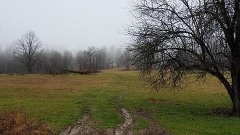 153 Lemons Road Eidson Tn 37731, Eidson, TN 37731 photo 31