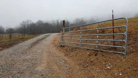153 Lemons Road Eidson Tn 37731, Eidson, TN 37731 photo 27