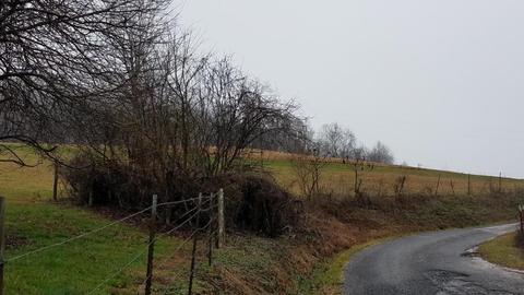153 Lemons Road Eidson Tn 37731, Eidson, TN 37731 photo 32