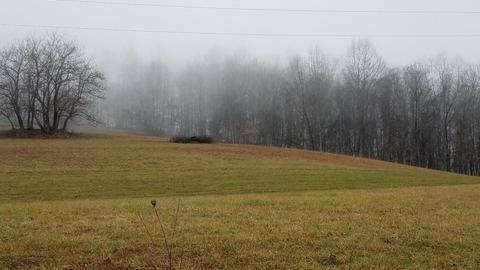 153 Lemons Road Eidson Tn 37731, Eidson, TN 37731 photo 18