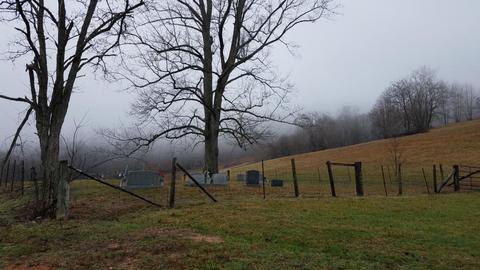 153 Lemons Road Eidson Tn 37731, Eidson, TN 37731 photo 25