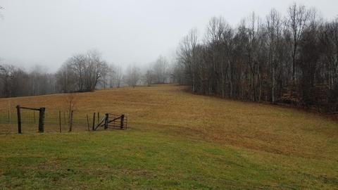 153 Lemons Road Eidson Tn 37731, Eidson, TN 37731 photo 24
