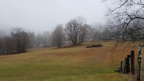 153 Lemons Road Eidson Tn 37731, Eidson, TN 37731 photo 22