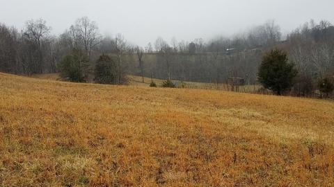 153 Lemons Road Eidson Tn 37731, Eidson, TN 37731 photo 20