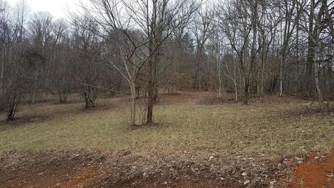 153 Lemons Road Eidson Tn 37731, Eidson, TN 37731 photo 37
