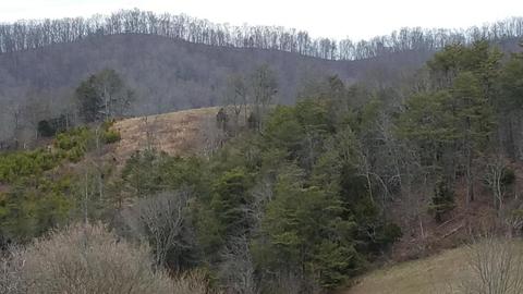 153 Lemons Road Eidson Tn 37731, Eidson, TN 37731 photo 35