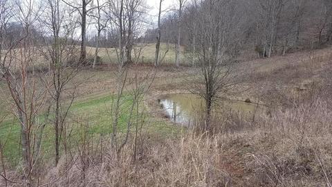 153 Lemons Road Eidson Tn 37731, Eidson, TN 37731 photo 34