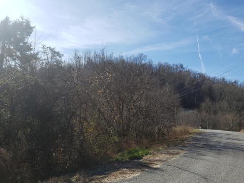 lot868 Clearwater Road New Tazewell Tn 37825, New Tazewell, TN 37825