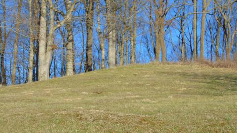 33450 Bucks Bridge Road Glade Spring Va 24340, Glade Spring, VA 24340 photo 15