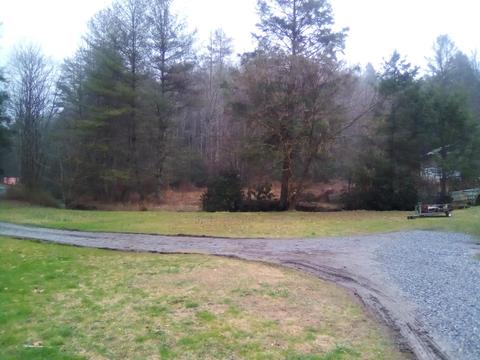 363 Piney Grove Road Hampton Tn 37658, Hampton, TN 37658 photo 3