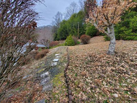102 Pitt Road Spruce Pine Nc 28777, Spruce Pine, NC 28777 photo 12