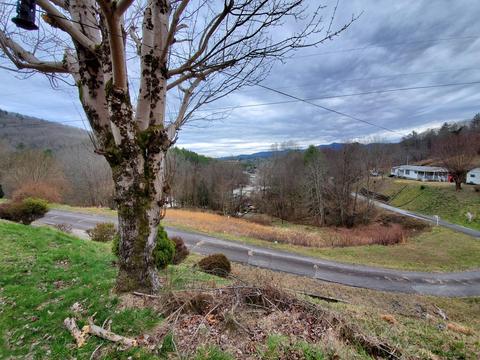 102 Pitt Road Spruce Pine Nc 28777, Spruce Pine, NC 28777 photo 45