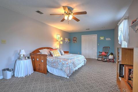296 Boring Chapel Road Gray Tn 37615, Gray, TN 37615 photo 25