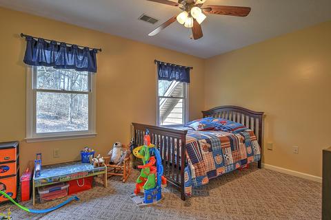 296 Boring Chapel Road Gray Tn 37615, Gray, TN 37615 photo 18