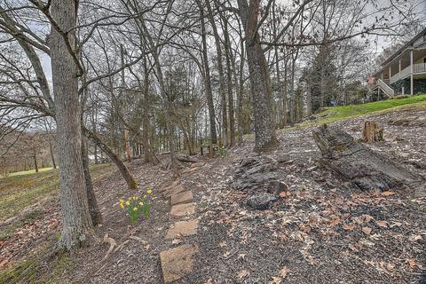 296 Boring Chapel Road Gray Tn 37615, Gray, TN 37615 photo 32
