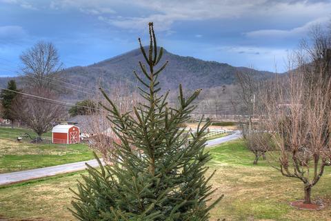 210 Greenbriar Drive Hampton Tn 37658, Hampton, TN 37658 photo 7