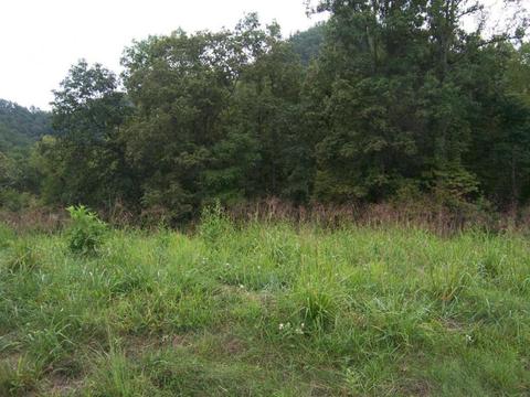 0 Lake Pointe Drive Lot 7 Abingdon Va 24210, Abingdon, VA 24210