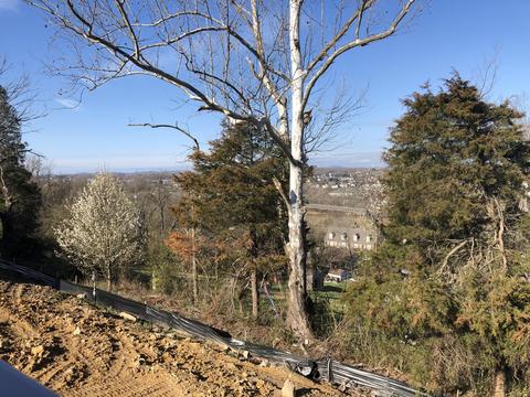 1208 Panoramic Vista Gray Tn 37615, Gray, TN 37615 photo 4