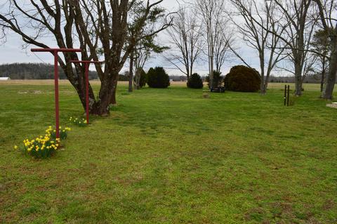 440 Horace Bitner Road Chuckey Tn 37641, Chuckey, TN 37641 photo 25