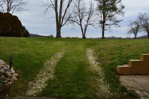 440 Horace Bitner Road Chuckey Tn 37641, Chuckey, TN 37641 photo 20