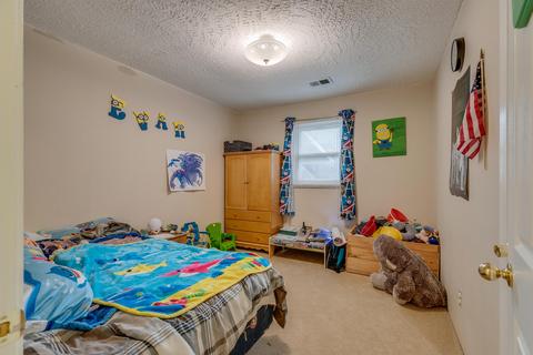 135 Tolley Ln Lane Na Erwin Tn 37650, Erwin, TN 37650 photo 20