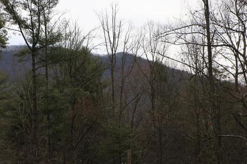 200 Coleman Rd Road Hampton Tn 37658, Hampton, TN 37658 photo 24