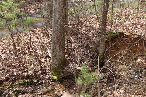 200 Coleman Rd Road Hampton Tn 37658, Hampton, TN 37658 photo 32