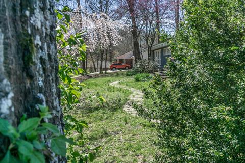 1818 Moore Avenue Greeneville Tn 37745, Greeneville, TN 37745 photo 39