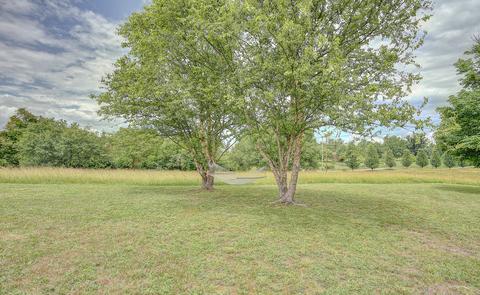 2892 Hwy 81 Fall Branch Tn 37656, Fall Branch, TN 37656 photo 45