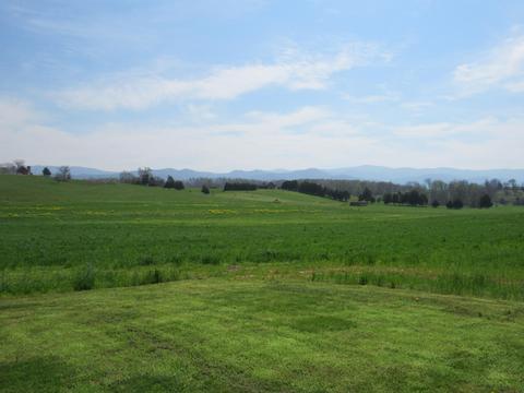 304 Lester Snapp Road Limestone Tn 37681, Limestone, TN 37681 photo 41