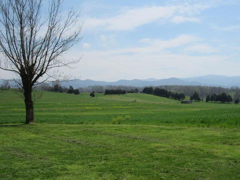 304 Lester Snapp Road Limestone Tn 37681, Limestone, TN 37681 photo 39