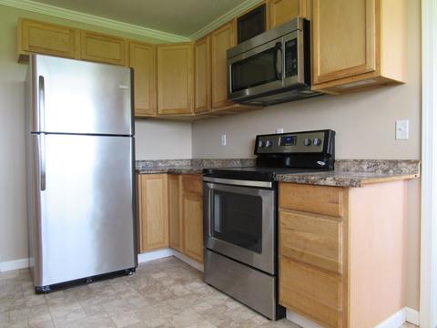 304 Lester Snapp Road Limestone Tn 37681, Limestone, TN 37681 photo 11