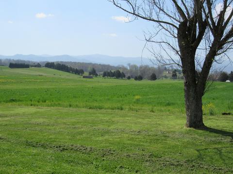 304 Lester Snapp Road Limestone Tn 37681, Limestone, TN 37681 photo 5
