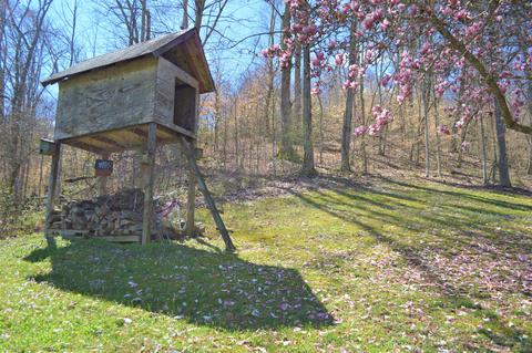 333 Jay Hollow Drive Duffield Va 24244, Duffield, VA 24244 photo 31