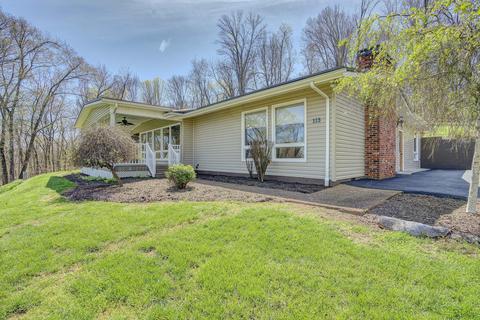 113 Lakeside Drive Gray Tn 37615, Gray, TN 37615 photo 2