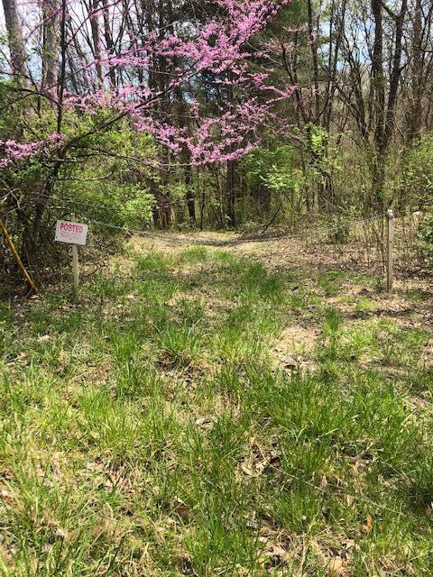 113 Lakeside Drive Gray Tn 37615, Gray, TN 37615 photo 54