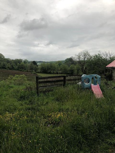 3017 Hwy 81n Fall Branch Tn 37656, Fall Branch, TN 37656 photo 11