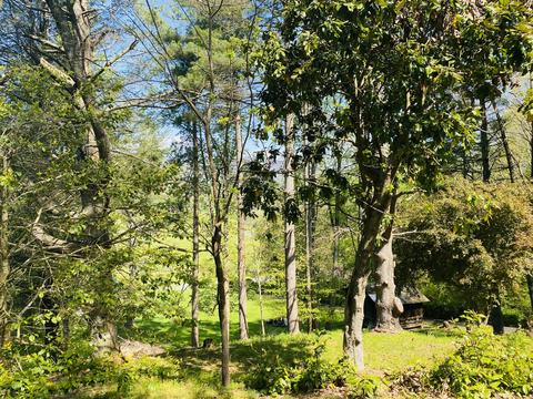 2044 Egan Road Big Stone Gap Va 24219, Big Stone Gap, VA 24219 photo 3