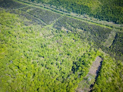 516 Begley Road Eidson Tn 37731, Eidson, TN 37731 photo 22