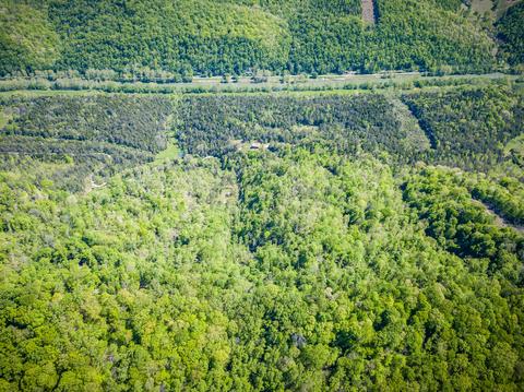 516 Begley Road Eidson Tn 37731, Eidson, TN 37731 photo 21