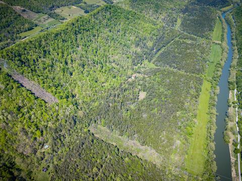 516 Begley Road Eidson Tn 37731, Eidson, TN 37731 photo 24
