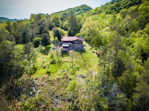 516 Begley Road Eidson Tn 37731, Eidson, TN 37731 photo 16