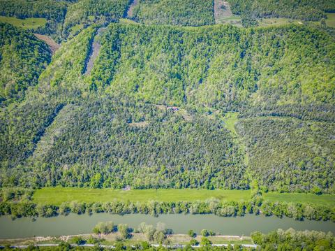 516 Begley Road Eidson Tn 37731, Eidson, TN 37731 photo 17