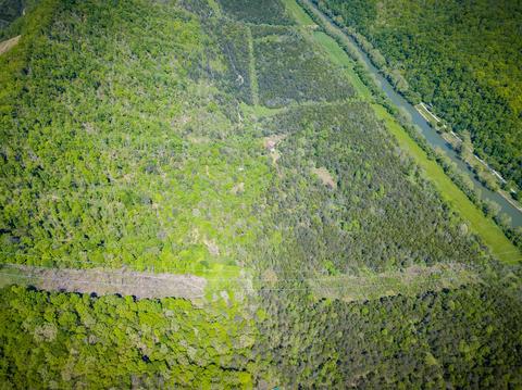 516 Begley Road Eidson Tn 37731, Eidson, TN 37731 photo 23
