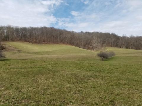 2096 Ford Branch Rd Road Duffield Va 24244, Duffield, VA 24244 photo 53