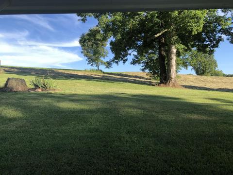 320 Mitchell Road Chuckey Tn 37641, Chuckey, TN 37641 photo 44