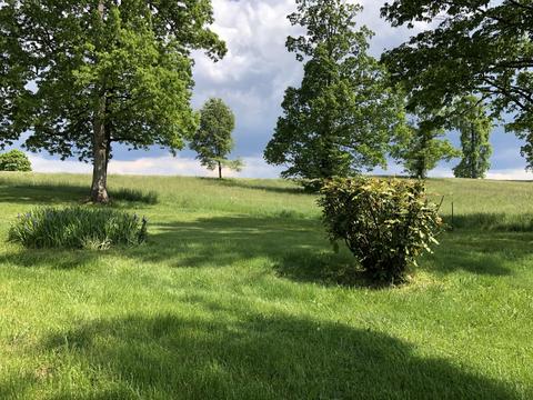 320 Mitchell Road Chuckey Tn 37641, Chuckey, TN 37641 photo 27