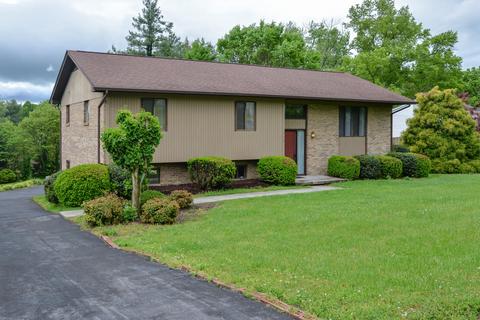 115 Bramm Road Bristol Tn 37620, Bristol, TN 37620 photo 2