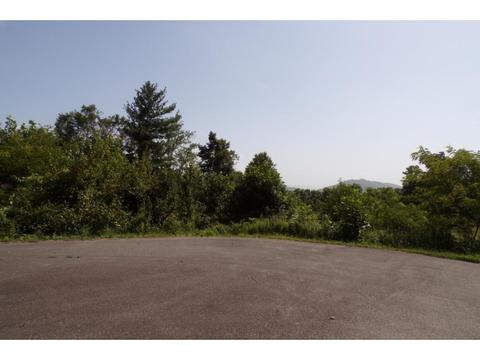 tbd Arrowhead Trail Lot 12 Mountain City Tn 37683, Mountain City, TN 37683