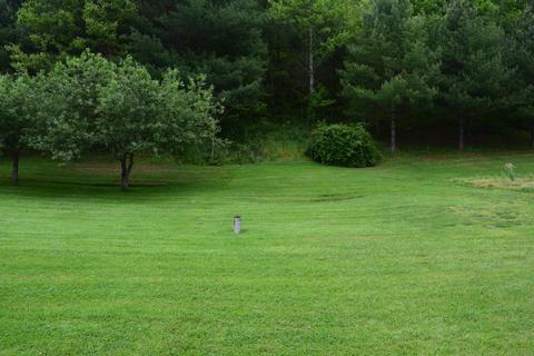 211 Coffee Ridge Road Erwin Tn 37650, Erwin, TN 37650 photo 6